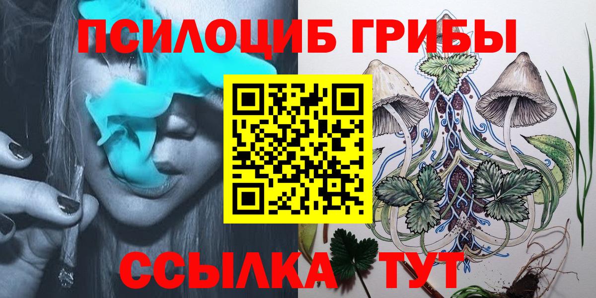 цена наркотик  Псилоцибиновые грибы Psilocybe  Вход с VPN  Щёлково 