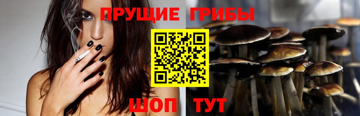 Галлюциногенные грибы Cubensis Щёлково